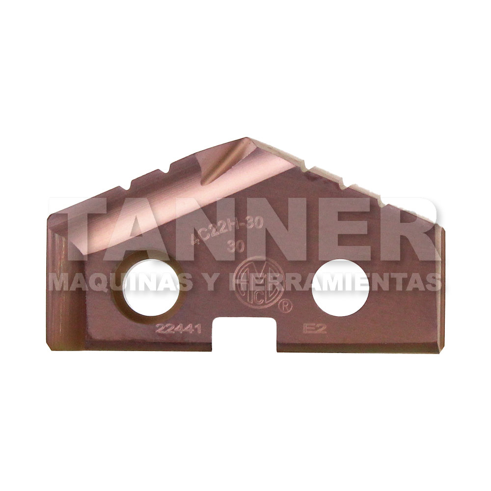 INSERTO NO. 2 GEN2 T-A 30.0MM C2 AM300