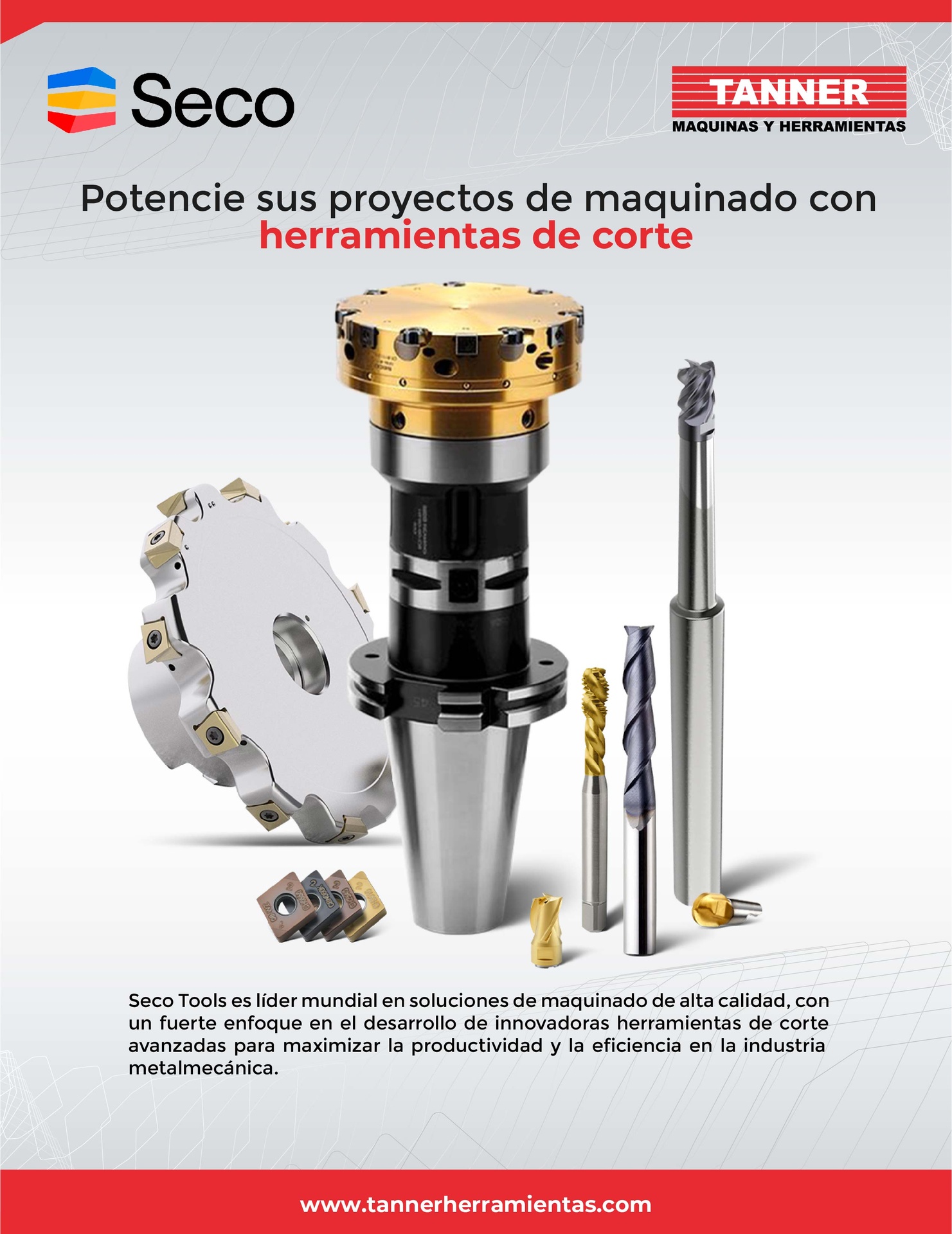 Portafolio - SECO